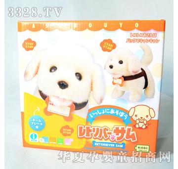 ����¡����Ȯ-ɭ��