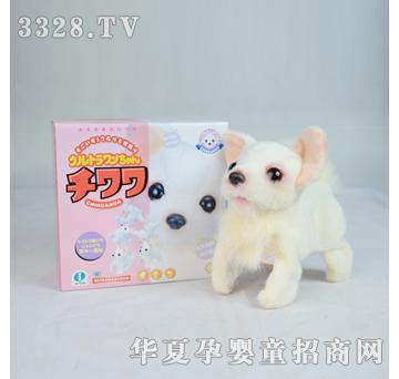 ����¡������-֥����