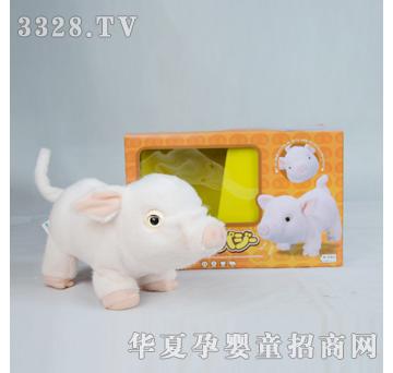 ����¡գ��С�i