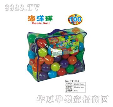 �{(l��n)��������100��BT1013