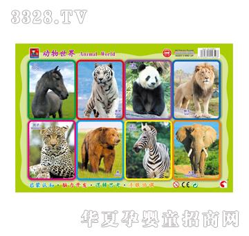 �{(l��n)�����80801