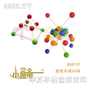 ��(m��ng)�A�A��(m��ng)��׃�eľ��24��B88107