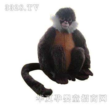 ����10��׺�������