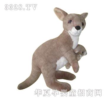 ����12����ĸ����