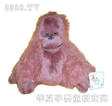 ����12Ӣ��������