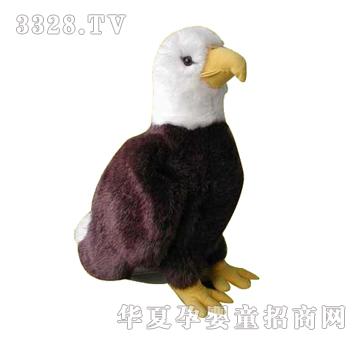 ����13��վ�B