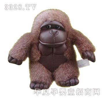 ����5����ɫ����