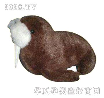 ����10�纣��