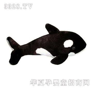 ����10Ӣ���L�~