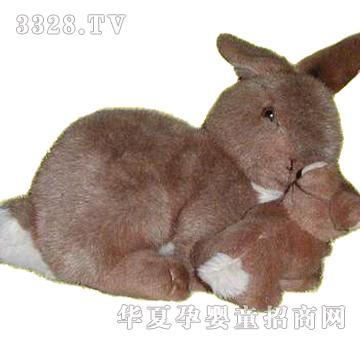 ����12����ĸ������