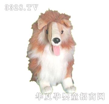 ����13��������Ȯ