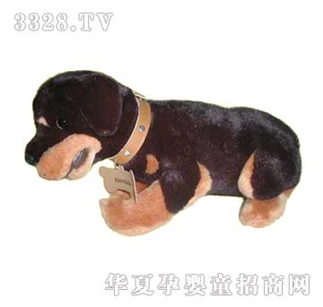 ����13���ſ��