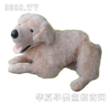 ����20�猤�CȮ