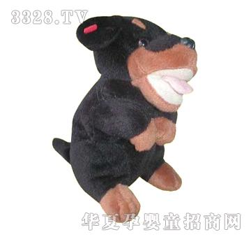 ����5��С����