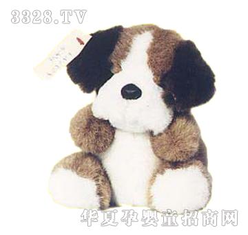 ����5��С��