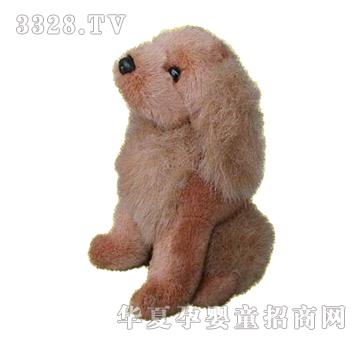 ����7Ӣ���Lë��