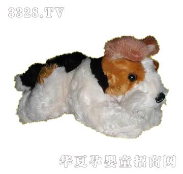 ����8Ӣ���ɫſ��