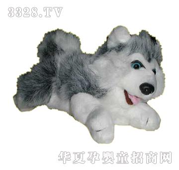 ����8Ӣ��Ұ�ſ��