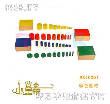 ��A�A����ɫ�A��MS90004