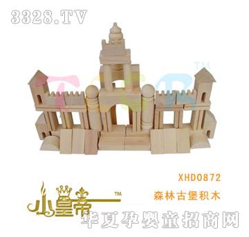 ��A�A��ɭ�ֹű��eľXHD0872
