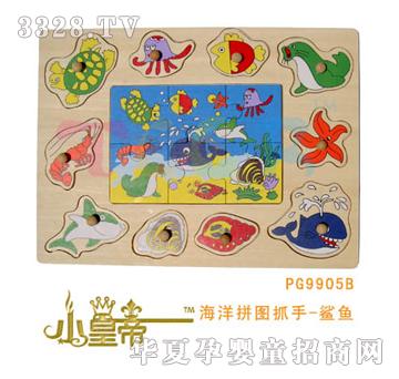 ��A�A������ƴ�Dץ��-���~PG9905B