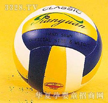 ����M(j��n)����Volleyball
