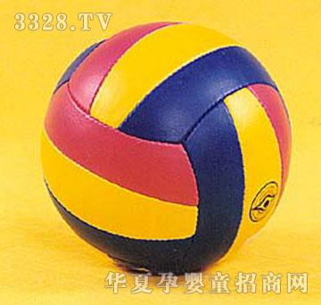 ����M(j��n)����Volleyball1