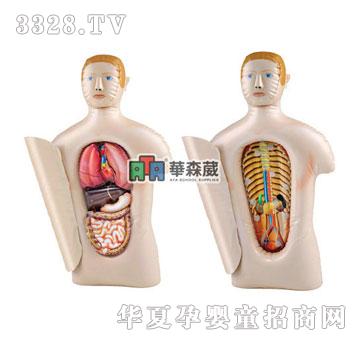 �Aɭ��N1-1814���w����-�����