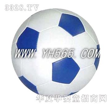 �ź�PVC����������AL40017