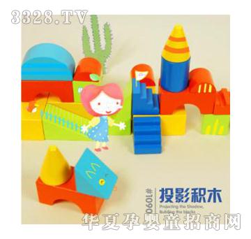 ��(y��u)ľͶӰ�Cľ