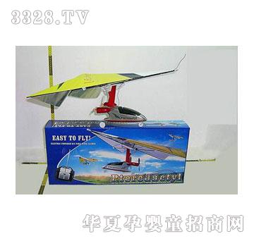 ����¡��������C