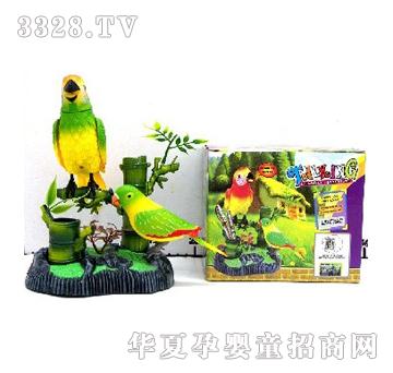 �������p�����^�B