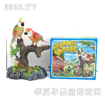 �������W�^