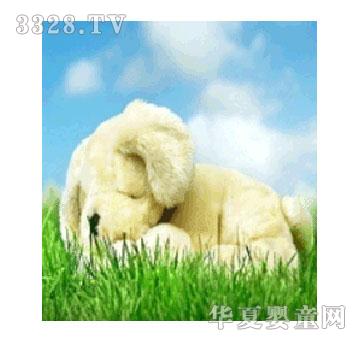 ����ؐ��Ѭ�²ݰ�˯��