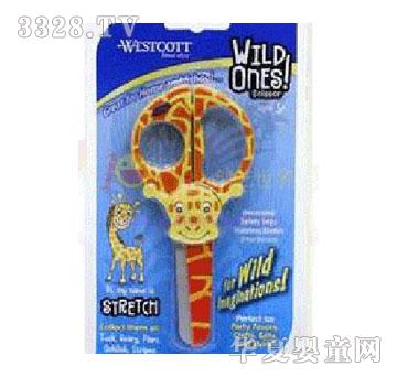 ����Wild Ones�L�i¹