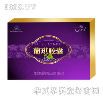 ǧ�݃������z��