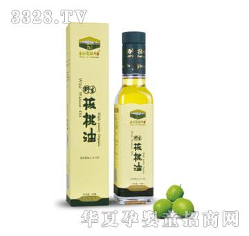 ��Ѡ�Ұ�������ͣ��ؼ������°��b��