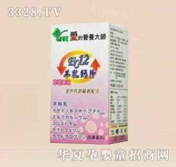 ؐ˹��EC12�����}Ƭ-��ݮ