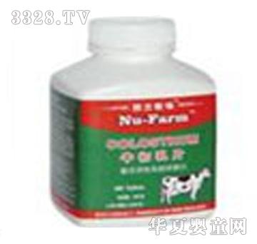 ���m����ţ�����Ƭ