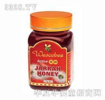 �S��피����ļt�����