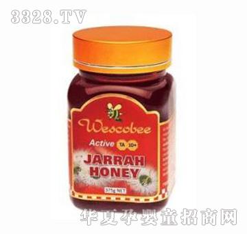 �S��피����ļt�����500g