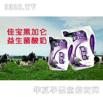 �ь��ڼӁ�����������