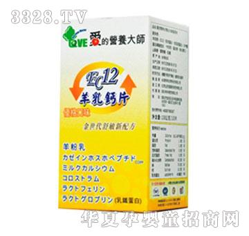 ��(��i)�ĠI(y��ng)�B(y��ng)��EC12�����}Ƭ-��(y��u)�����̣�