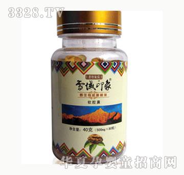 ѩ��ӡ��Ұ���ЙC(j��)������ܛ�z��