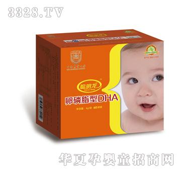 ������������֬��DHA60���b