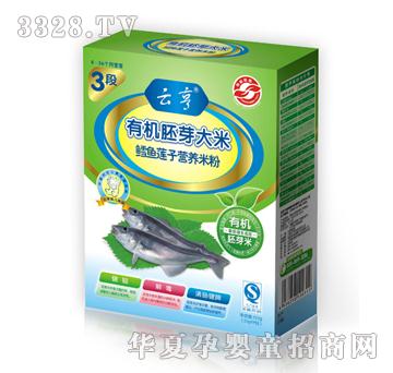 �ƺ��ЙC(j��)����ѿ�����L�~ɏ�ӠI(y��ng)�B(y��ng)�׷�