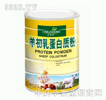 �`������鵰���|��