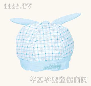 С�v���p������ñ