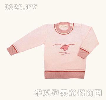 С�v��С�v���_����ë��