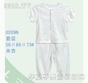��ʿ0209N